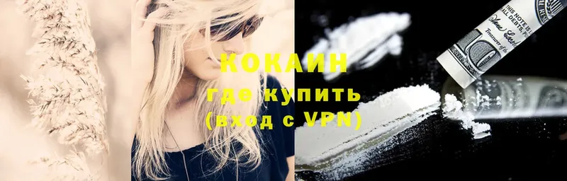 Cocaine Fish Scale  Анжеро-Судженск 